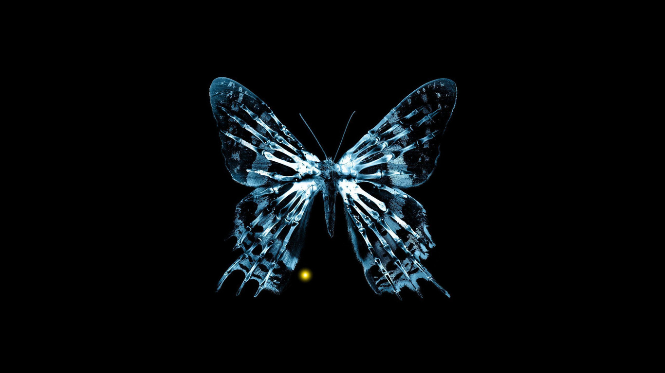 butterfly wallpapers x rays bone face fringe Beyond fox Movies