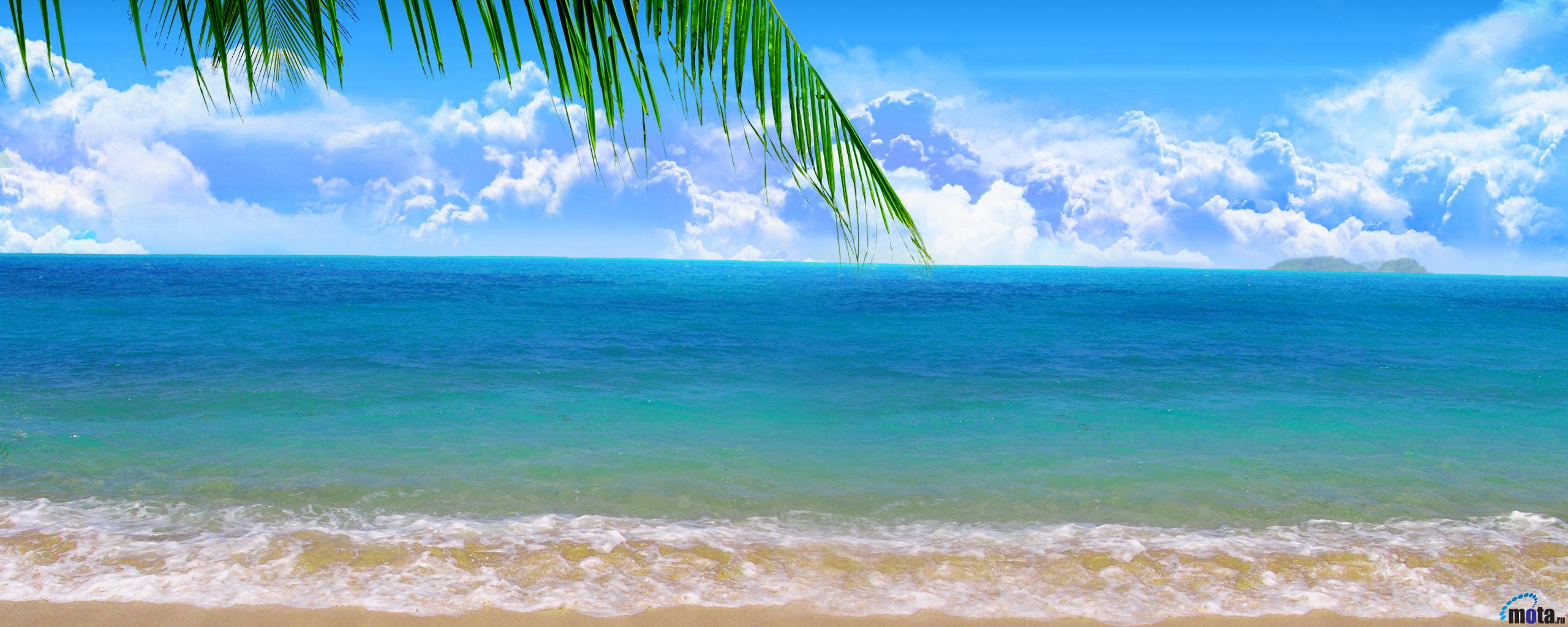 Wallpaper Palm On Paradise Beach X Dual Monitor Desktop