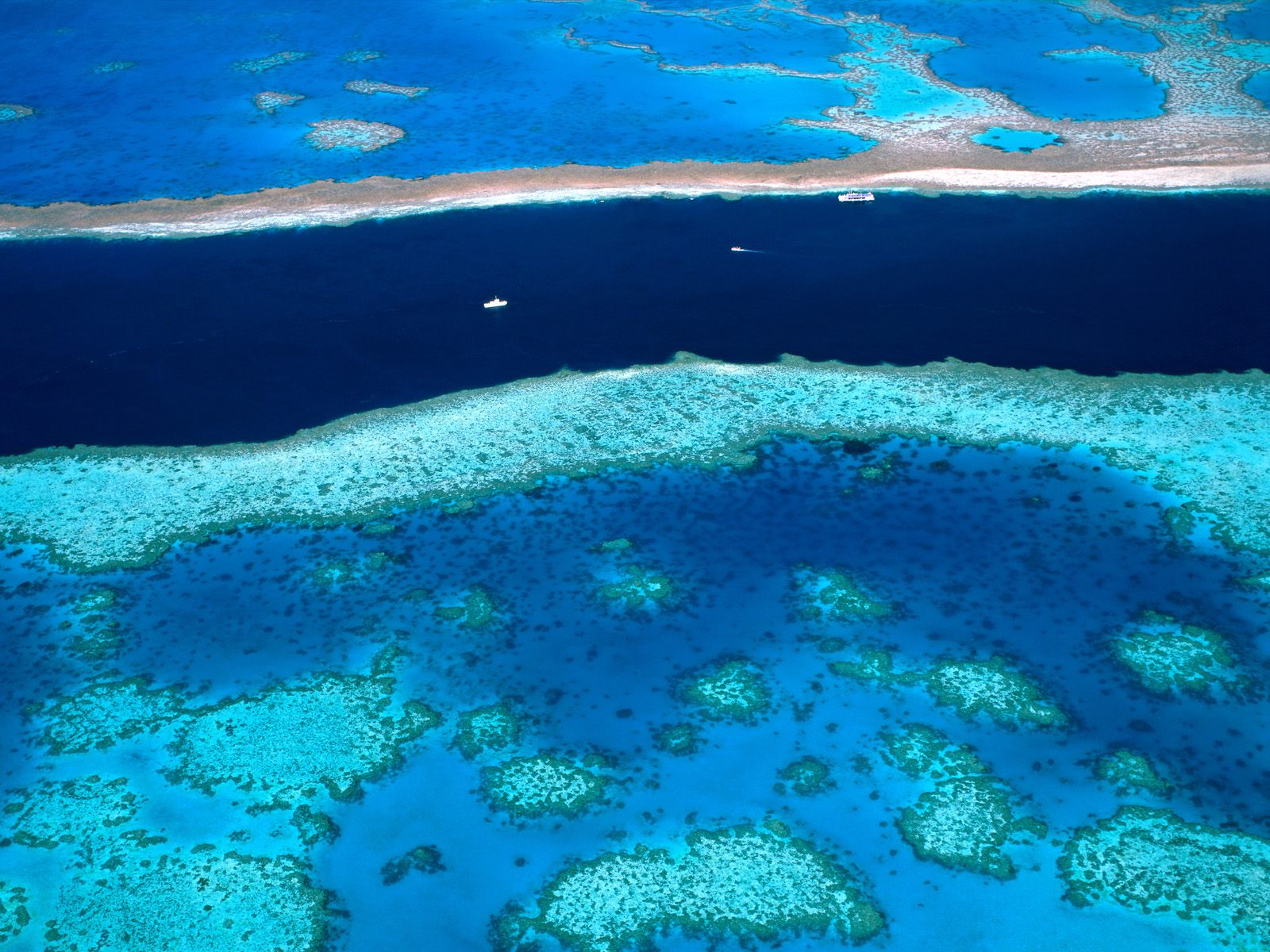 Australia Oceania Great Barrier Reef Nature Wallpaper