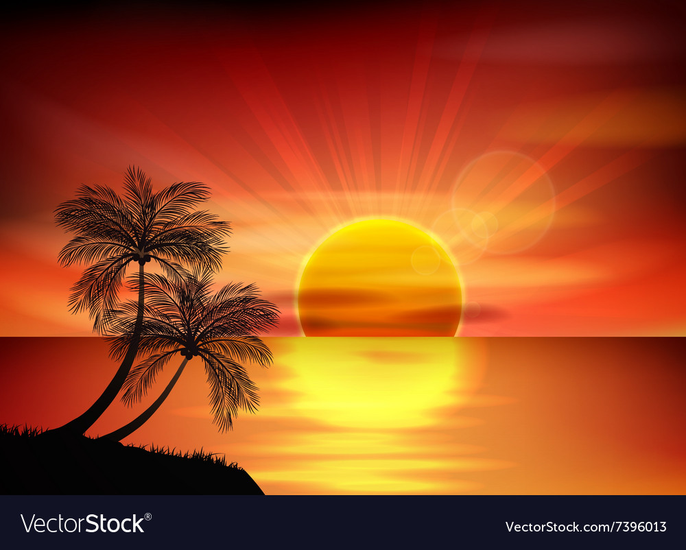 Sunset background palm tree Royalty Free Vector Image