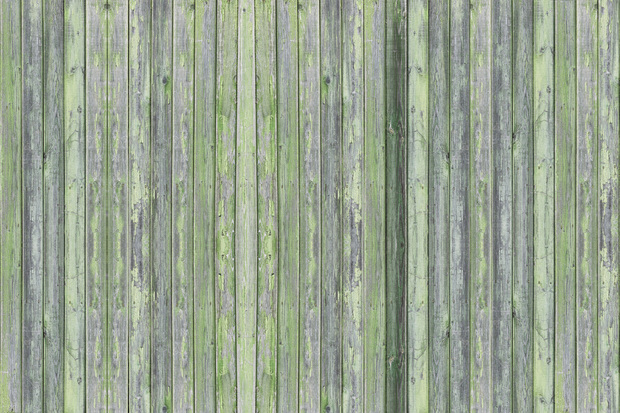 Wooden Plank Green Grey