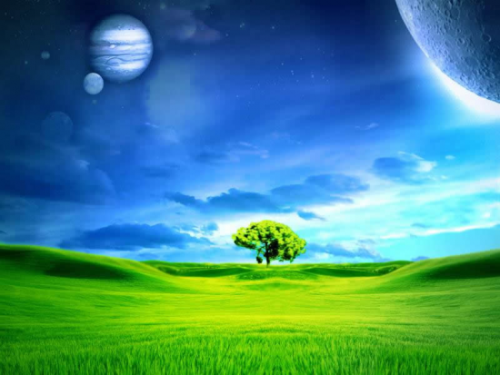 Image Sky Wallpaper Blue Pictures Grass And