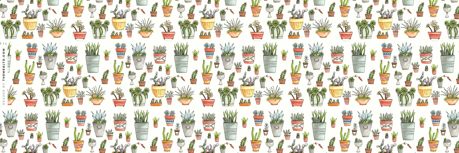Cactus Pot Plants Header Random Wallpaper