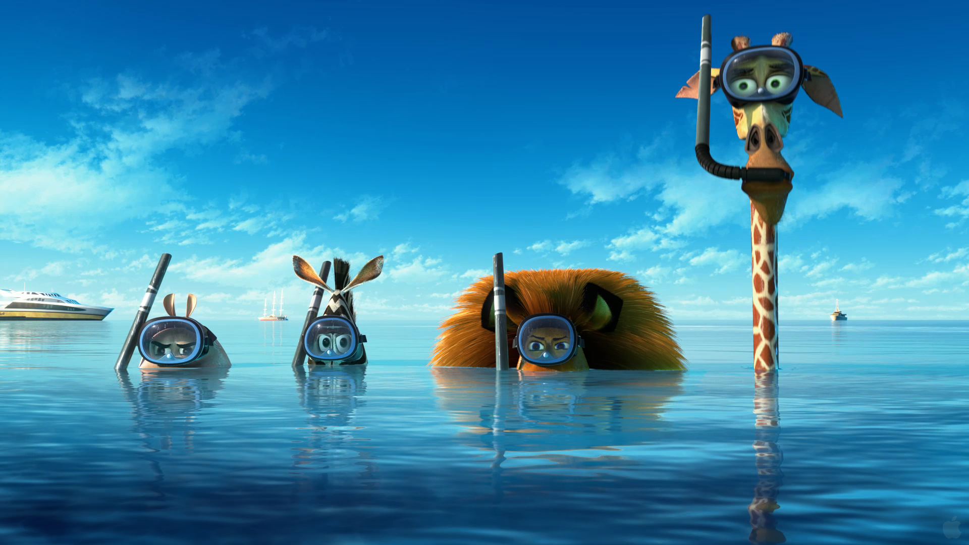 Cast Of Madagascar Europe S Most Wanted Wallpaper Click Picture