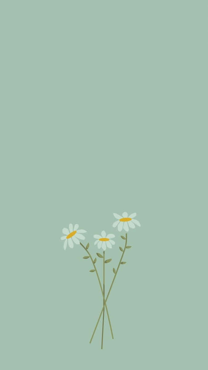 Sage Green Flower Aesthetic Wallpaper