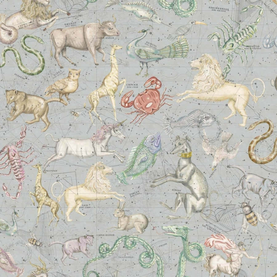 The Stars And Planets Align In Always Beautiful Wallpaper
