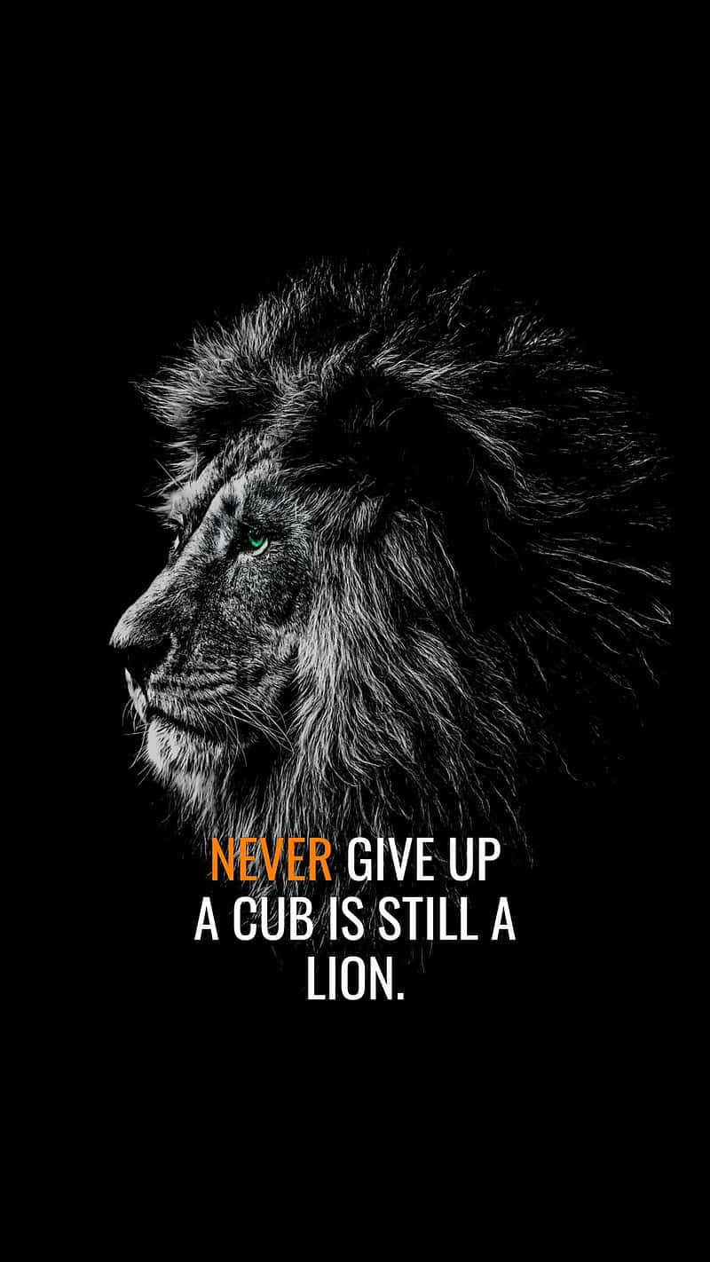 Black And White Lion Wallpaper