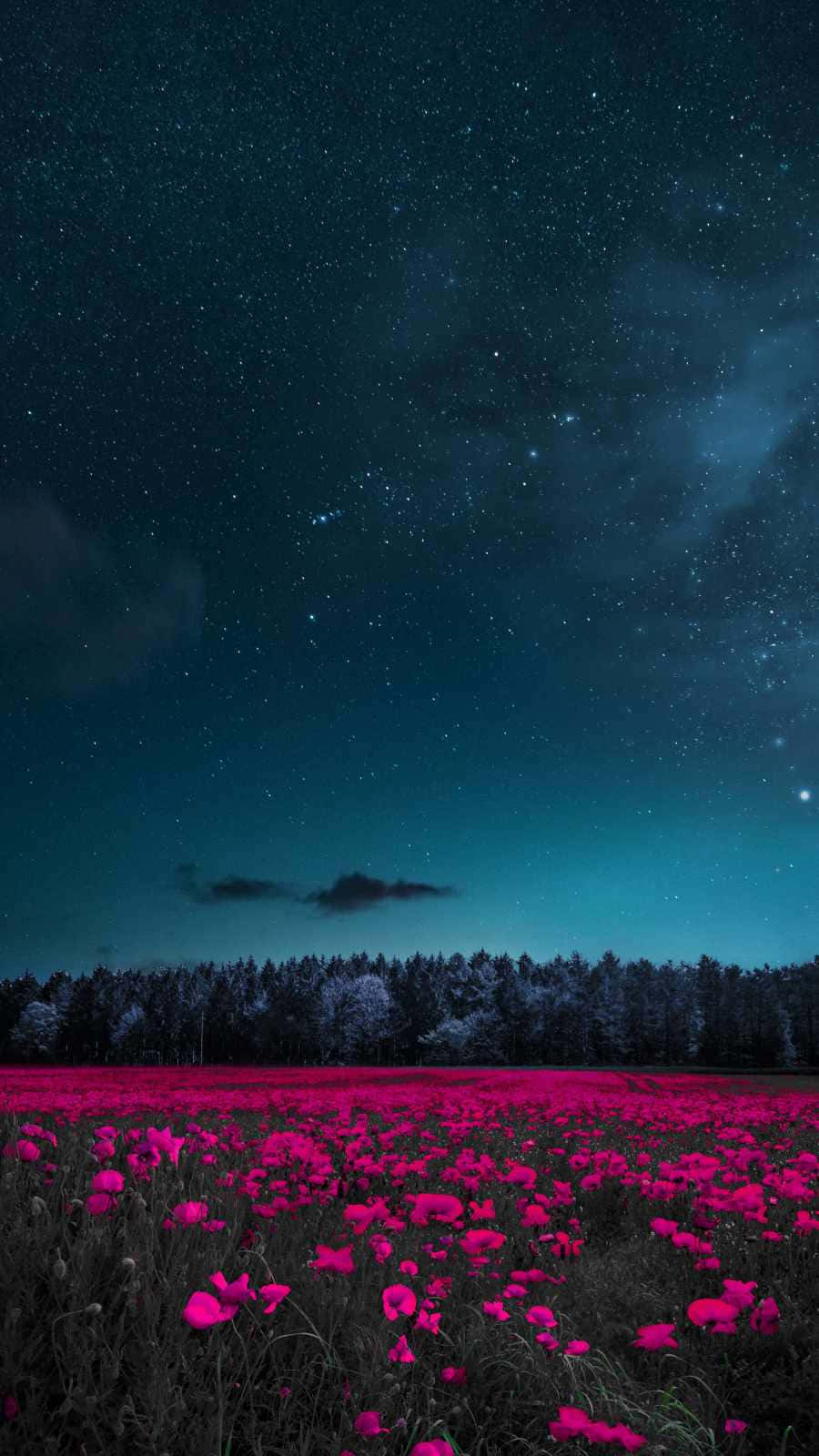 iPhone Flowers Wallpaper