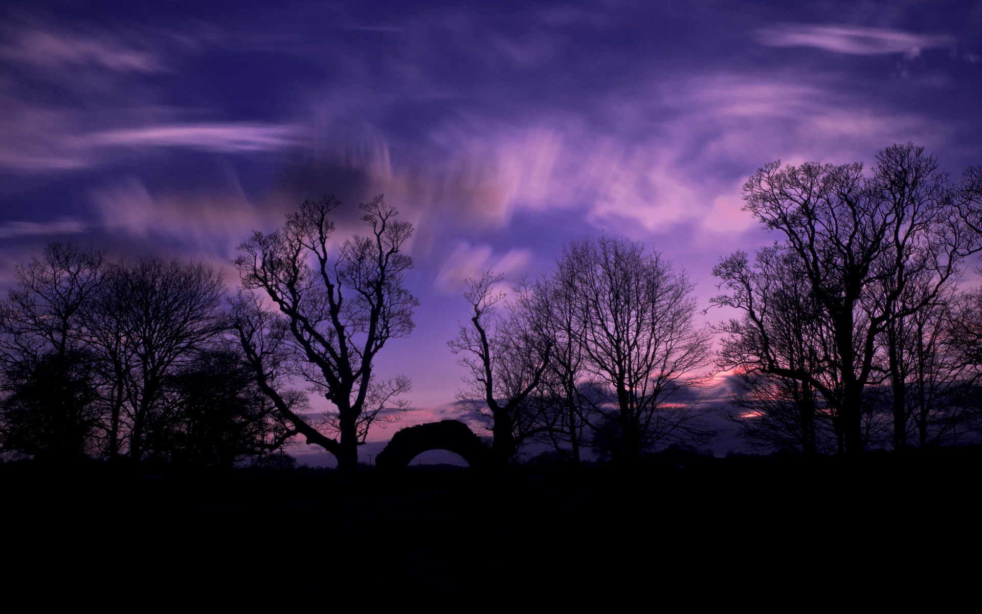 evening Sunset Trees Silhouettes Sky Clouds Wallpapers HD