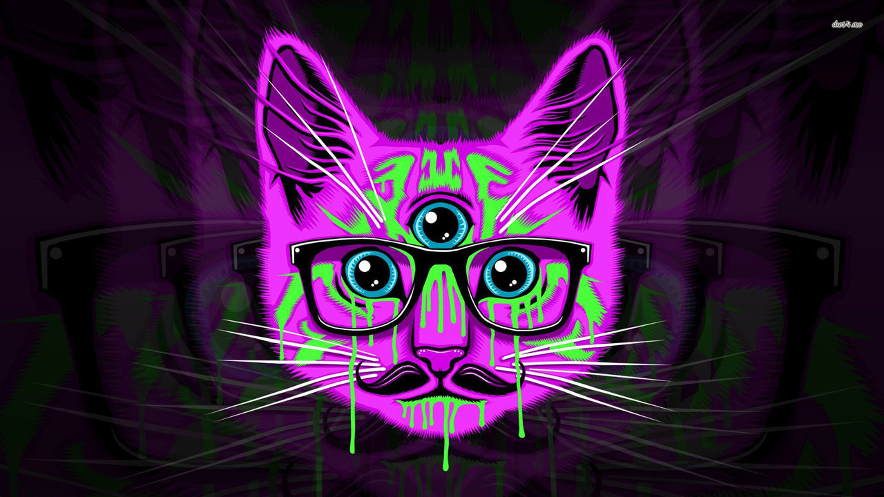 Psychedelic Hipster Cat Artist By Kayleigh Beanz On