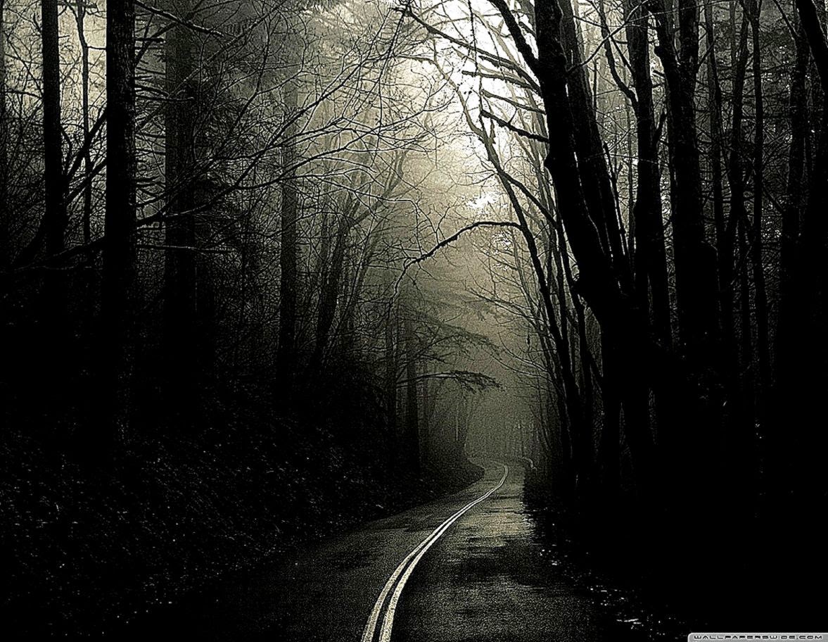 Dark Road Forest HD desktop wallpaper High Definition