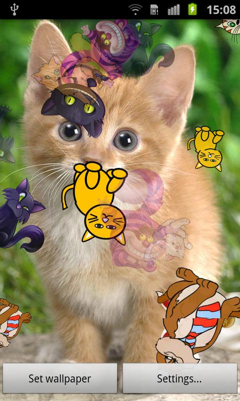 Kitty Cat Live Wallpaper Android Apps on Google Play
