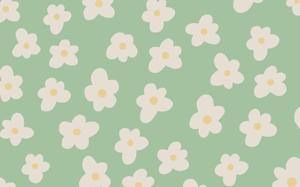 Spring Daisy Background Flower Desktop Wallpaper Cute Laptop