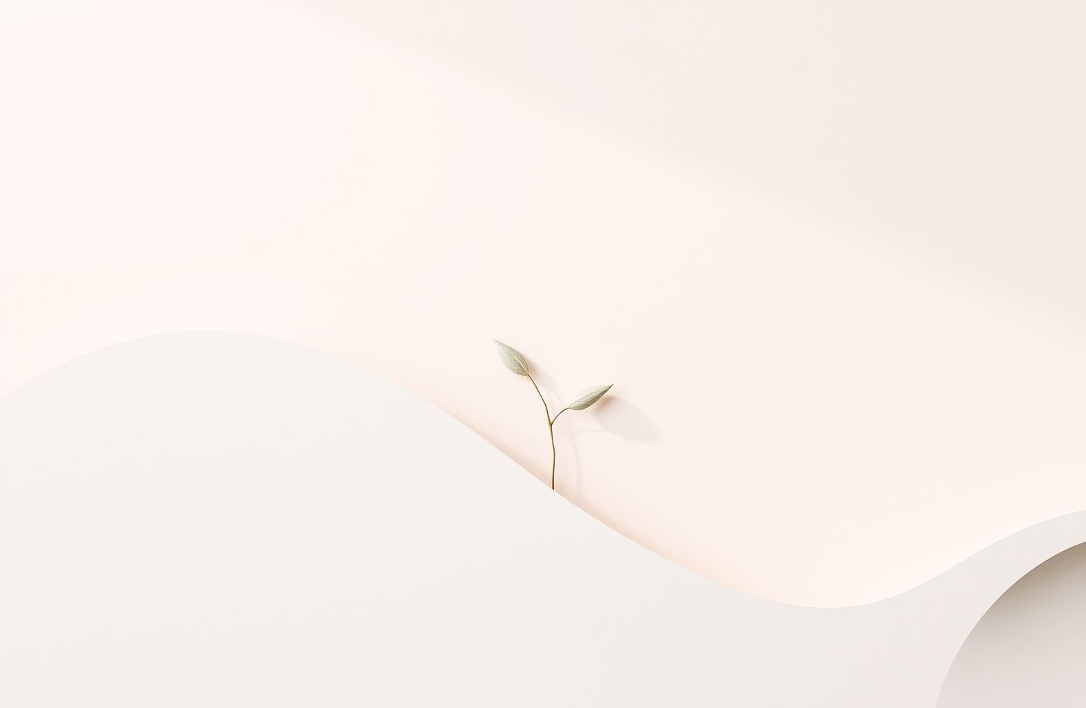 Minimalist Aesthetic Wallpaper