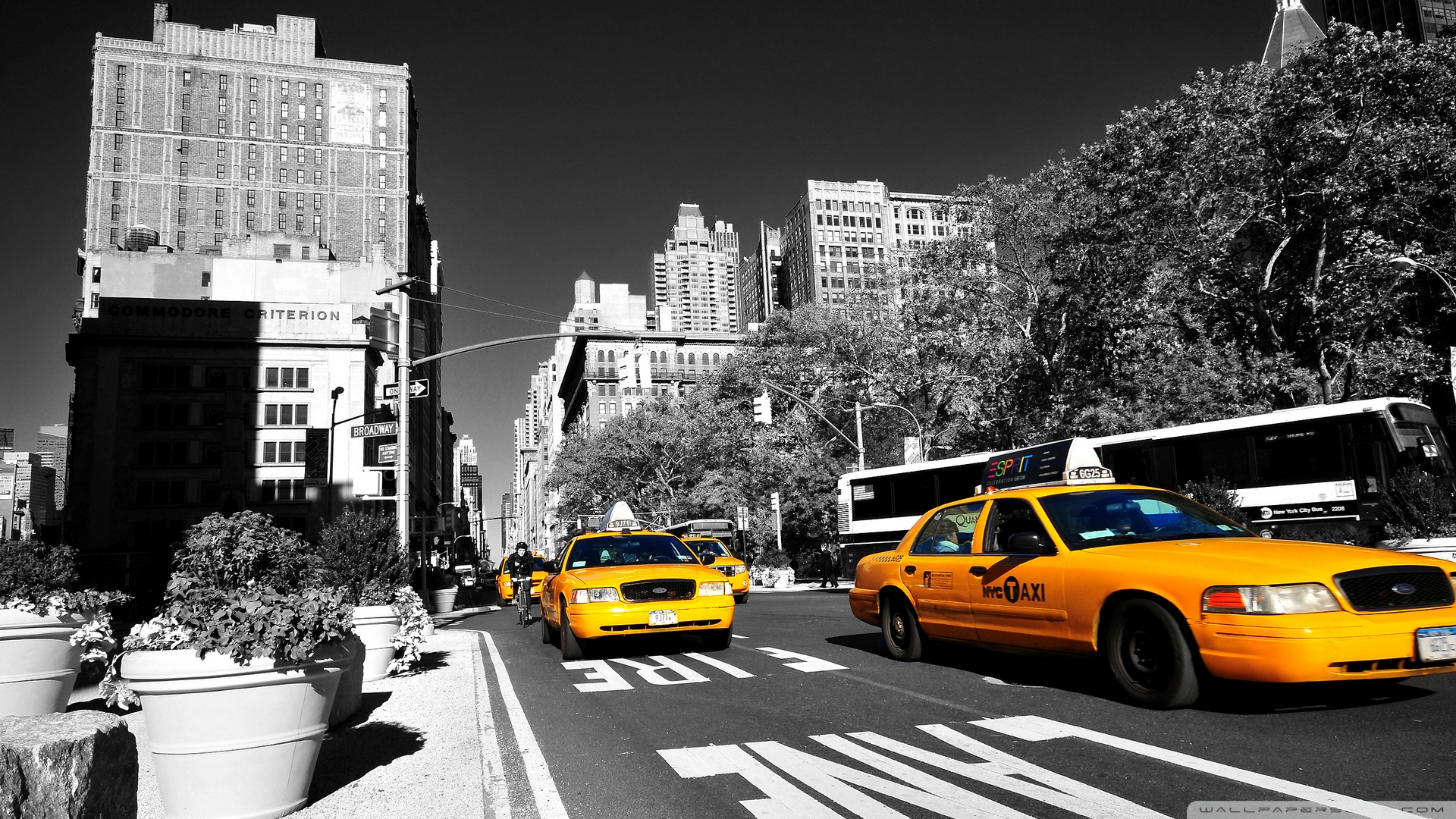 New York Taxi 4k HD Desktop Wallpaper For Ultra Tv