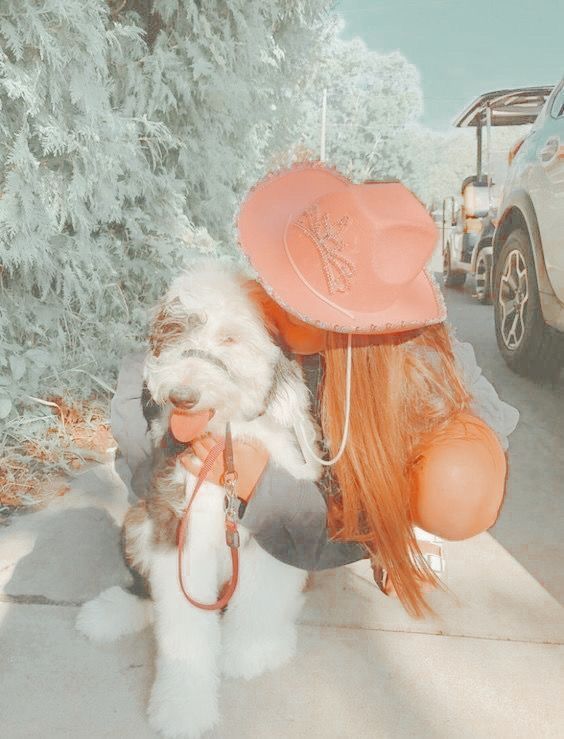 Cute Doggo Wallpaper