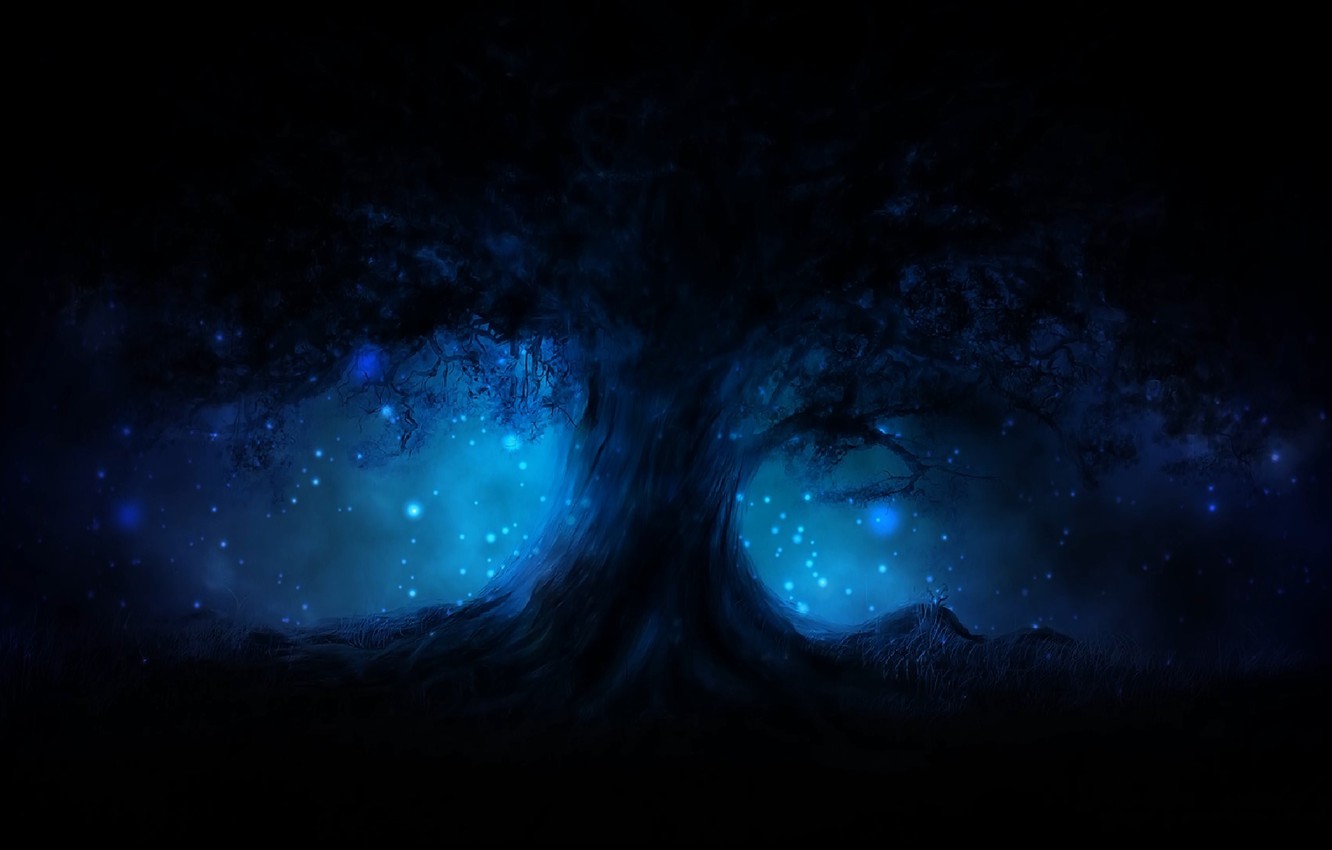 Wallpaper Energy Night Tree Magic Tenderness Glow Spirit