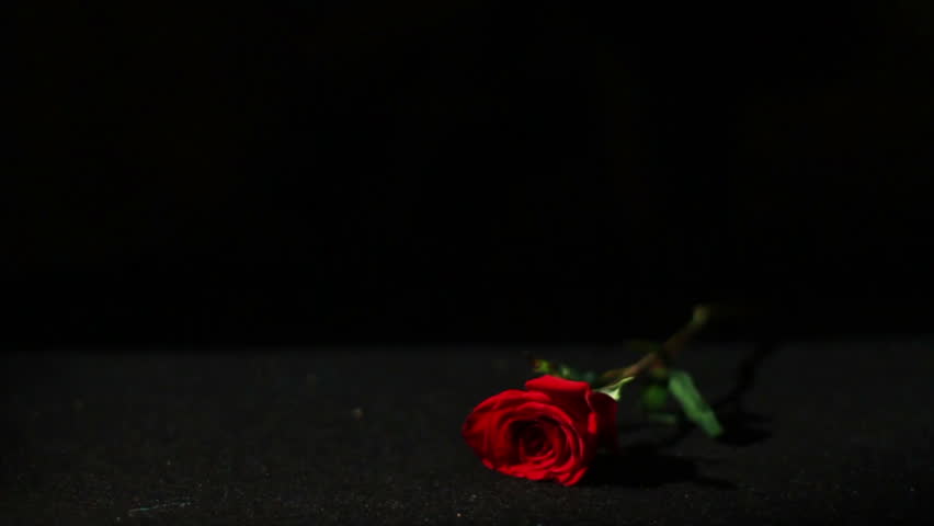 Red Rose And Candle On Black Background Stock Footage