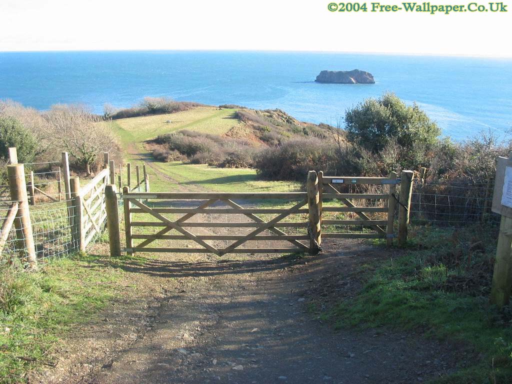 The Path That Leads Down To One Of Torquay S Best Fishing Spots Hopes