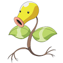 Bellsprout Wallpaper For Android