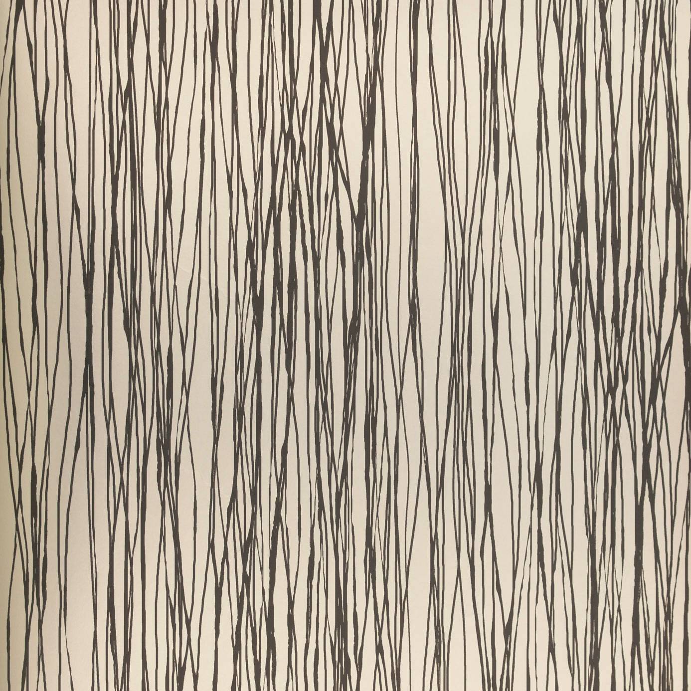 Wallpaper Prestigious Textiles Woodland Veneer