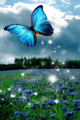 Download 3D Butterfly Live Wallpaper HD for android 3D