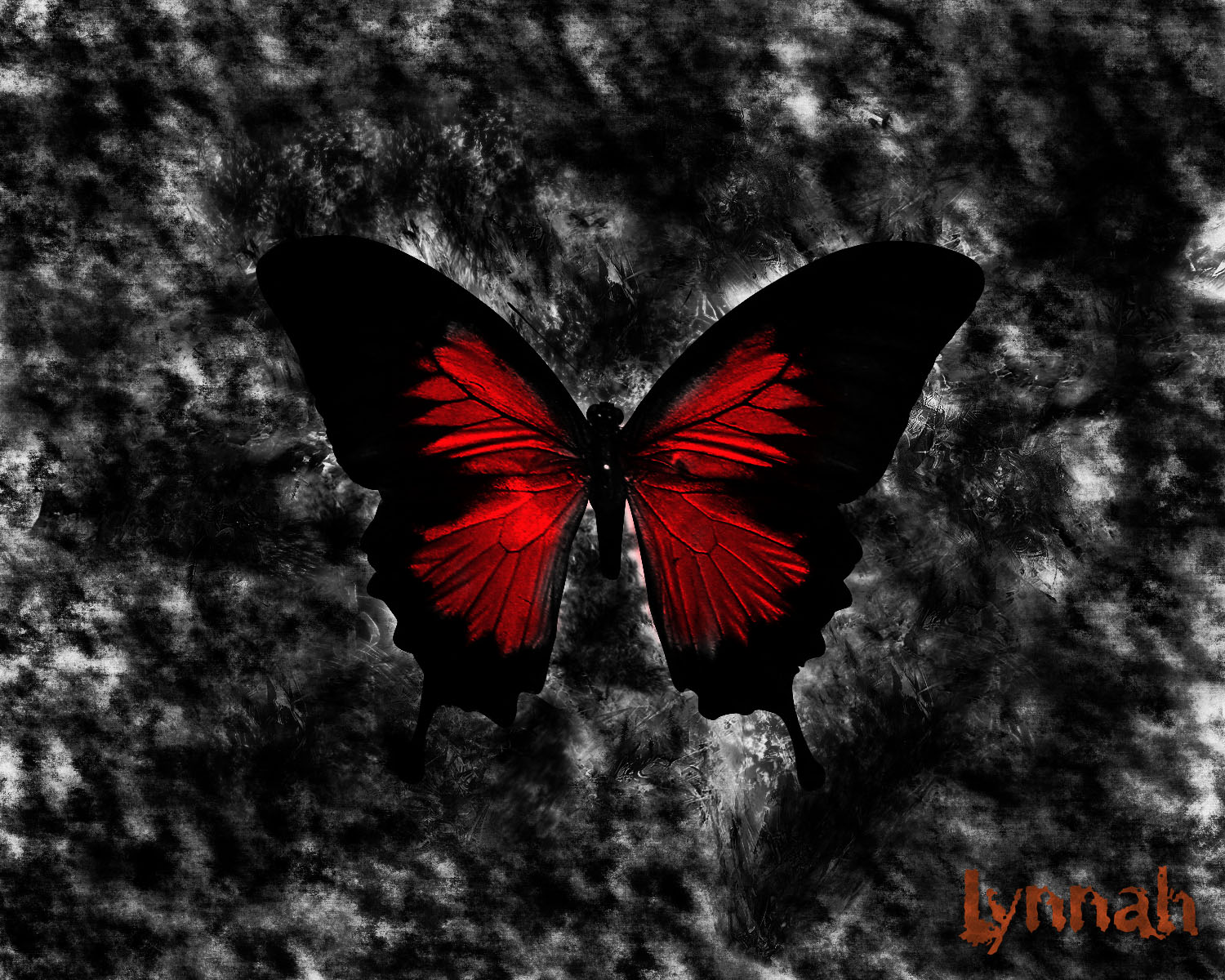 Red Butterfly  Beautiful  Aesthetic Wallpaper Download  MobCup
