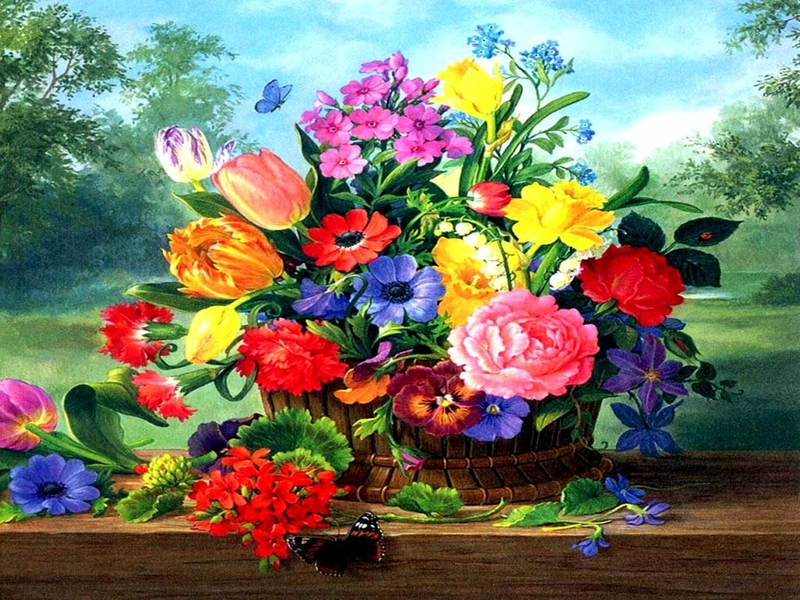 Beautiful Flowers Spring Nature HD Desktop
