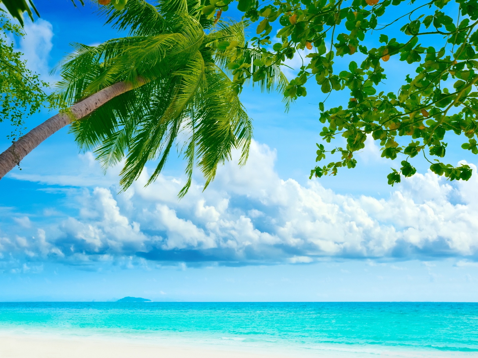 Tropical Beach Resorts 4k HD Desktop Wallpaper For Ultra