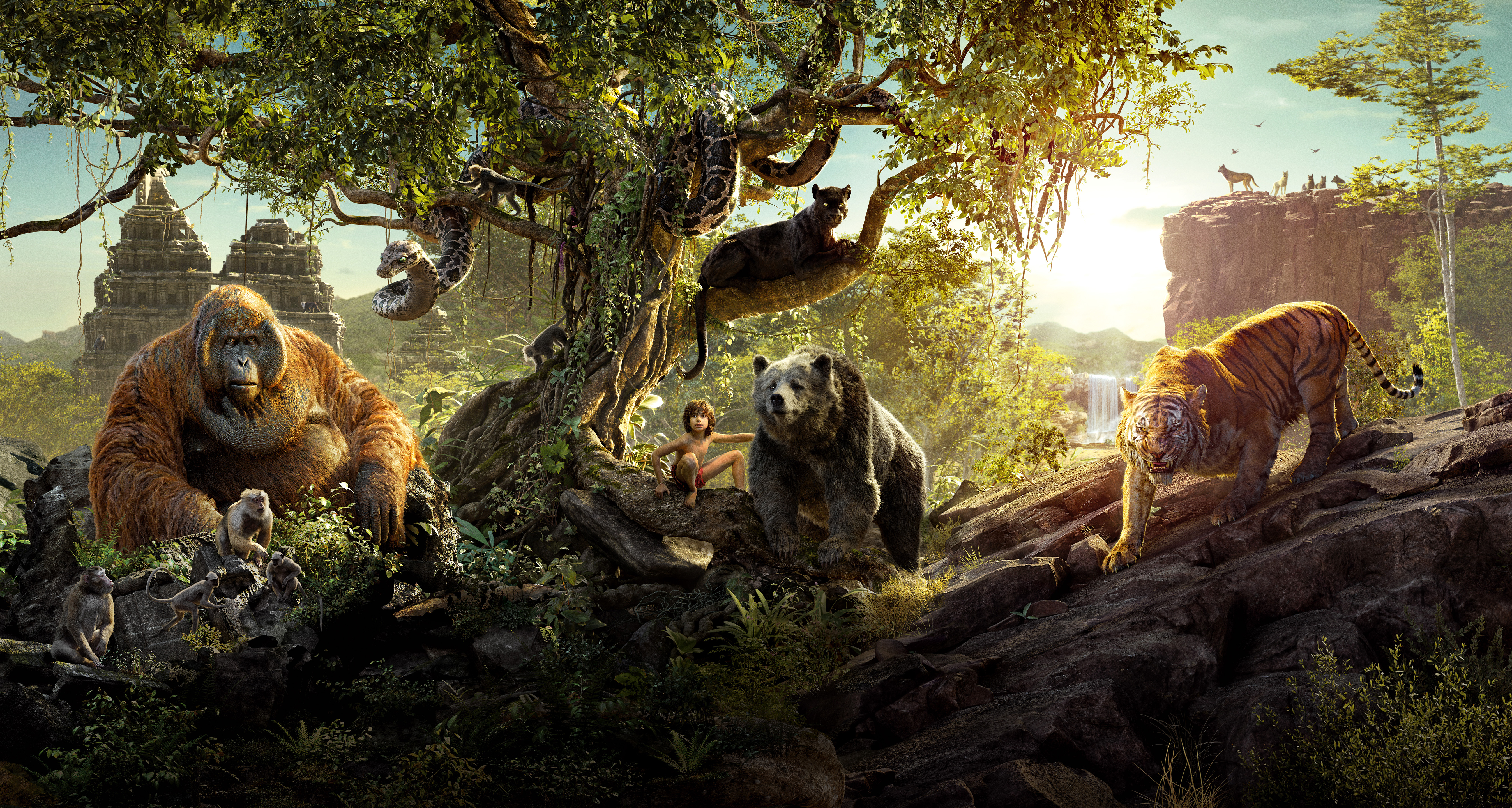 The Jungle Book 4k Ultra HD Wallpaper