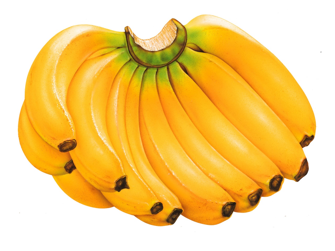 Bananas Are The Perfect Take Along Snack No Wonder They Re One Of