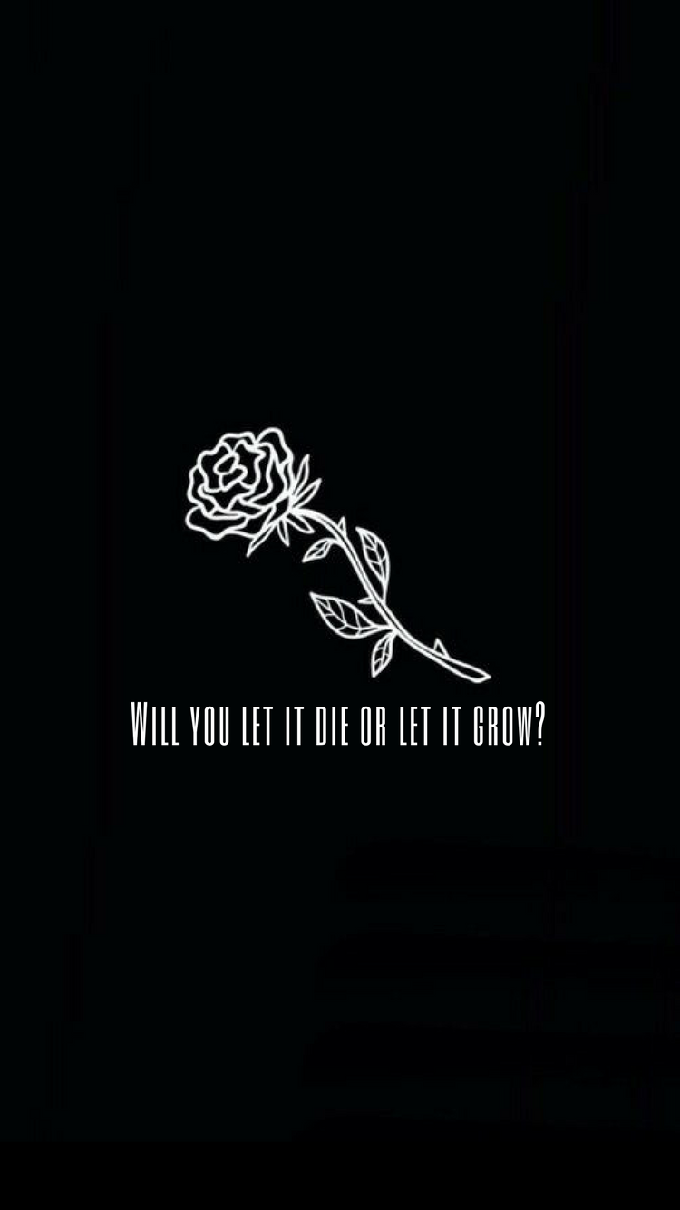 Shawn Mendes Wallpaper Lyrics Will You Let It Die Or Grow