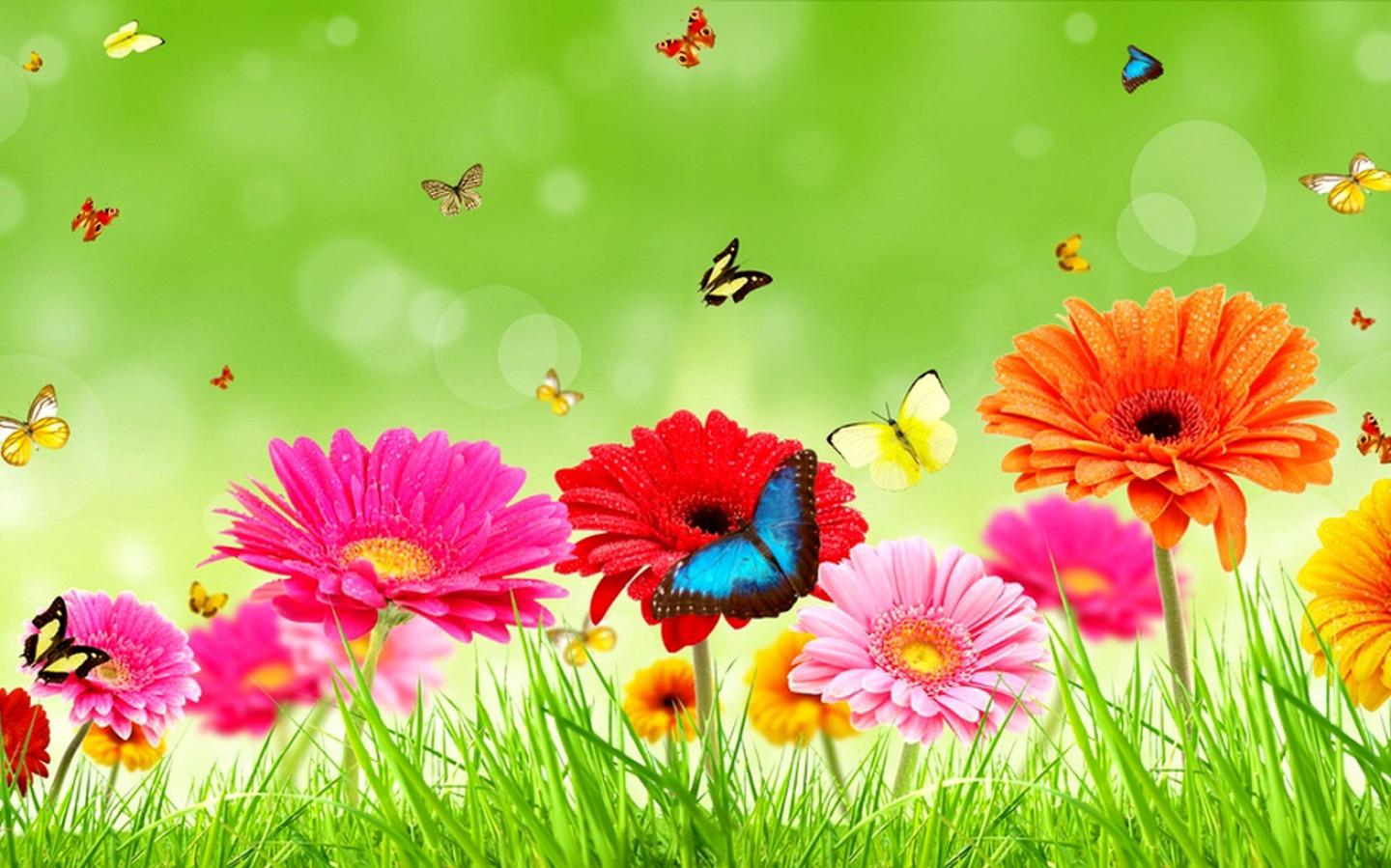 Beautiful Butterflies On Colorful Spring Flowers