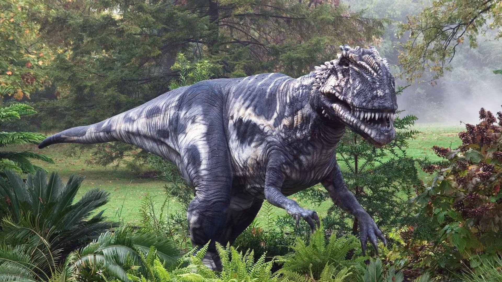 Tyrannosaurus Rex Puter Wallpaper Desktop Background