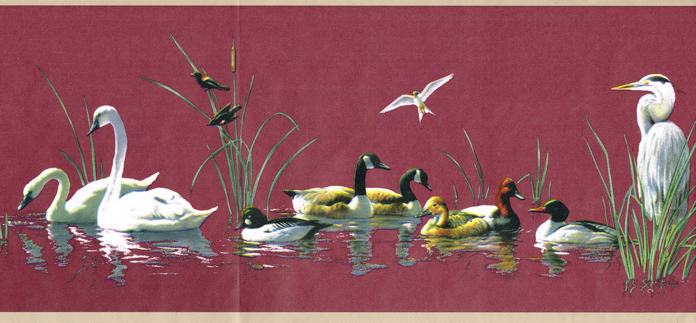  Swans Wood Ducks Canada Geese Cattails Country Wallpaper Wall Border 1000x464