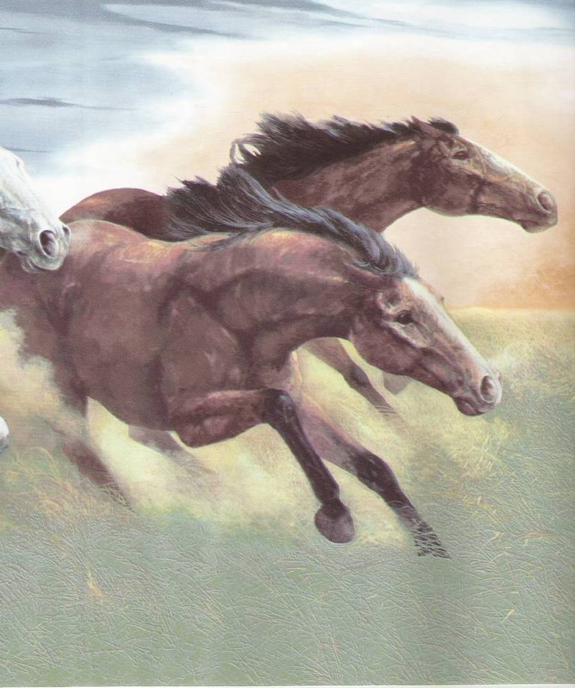 Free download Western Horse Wallpaper Border Running Horses 92931FP