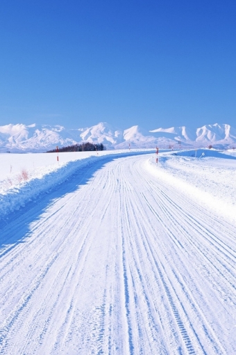 Winter Road iPhone HD Wallpaper