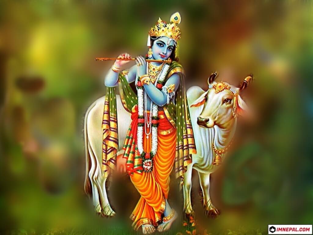 Lord Krishna Image Wallpaper