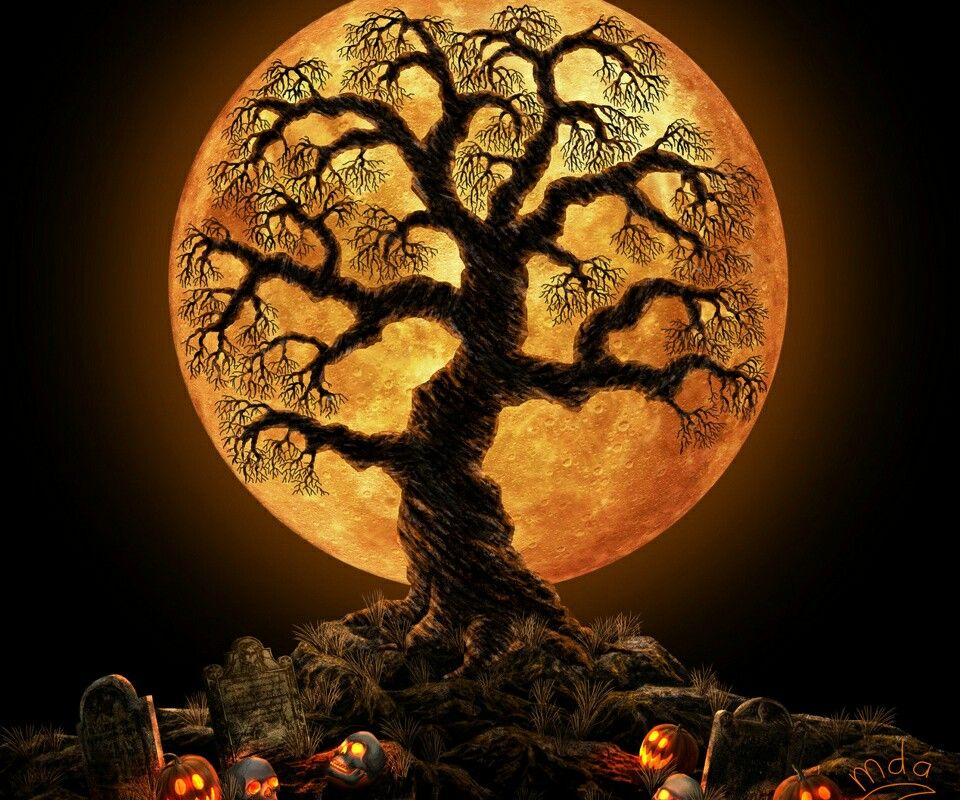 Halloween Wallpaper For My Phone Holidays Trees