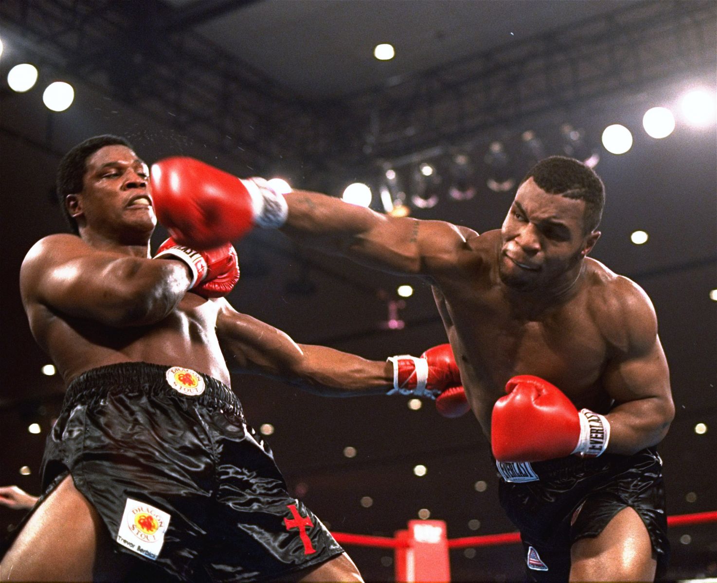 Informations Videos And Wallpaper Mike Tyson