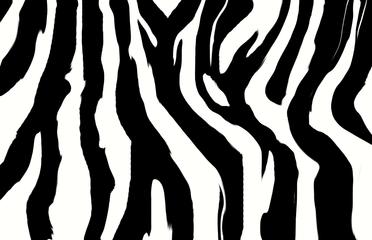 Zebra Pattern Print Share