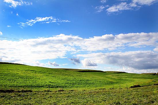 Windows XP Wallpaper Remakes with No Edition Names by SamBox436 on  DeviantArt