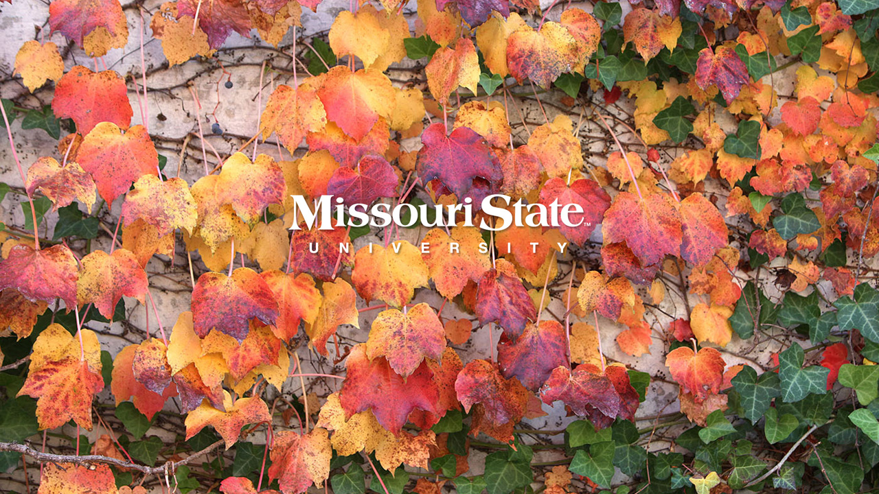 Wallpaper Go Maroon Missouri State University