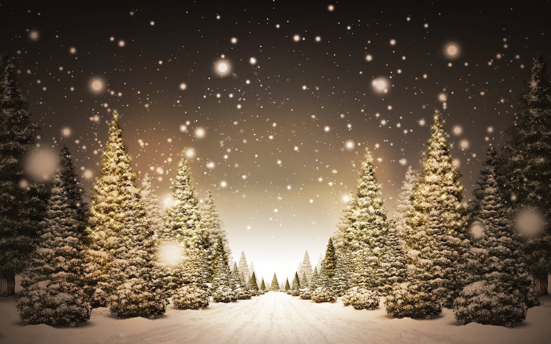 Amazing Beautiful Christmas Trees Wallpaper HD