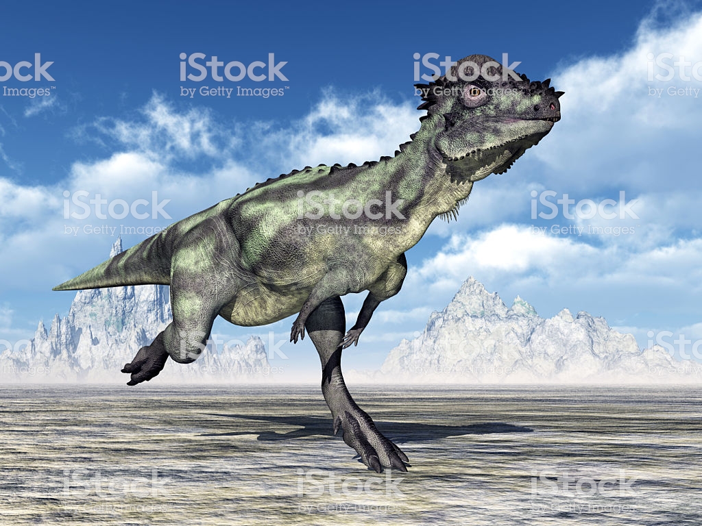 Dinosaur Pachycephalosaurus Stock Photo Image Now Istock