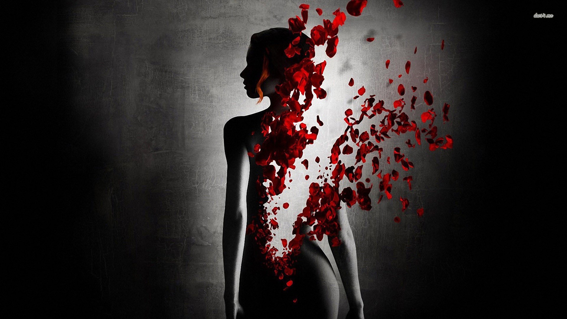 Rose petals and woman silhouette digital art hd wallpaper