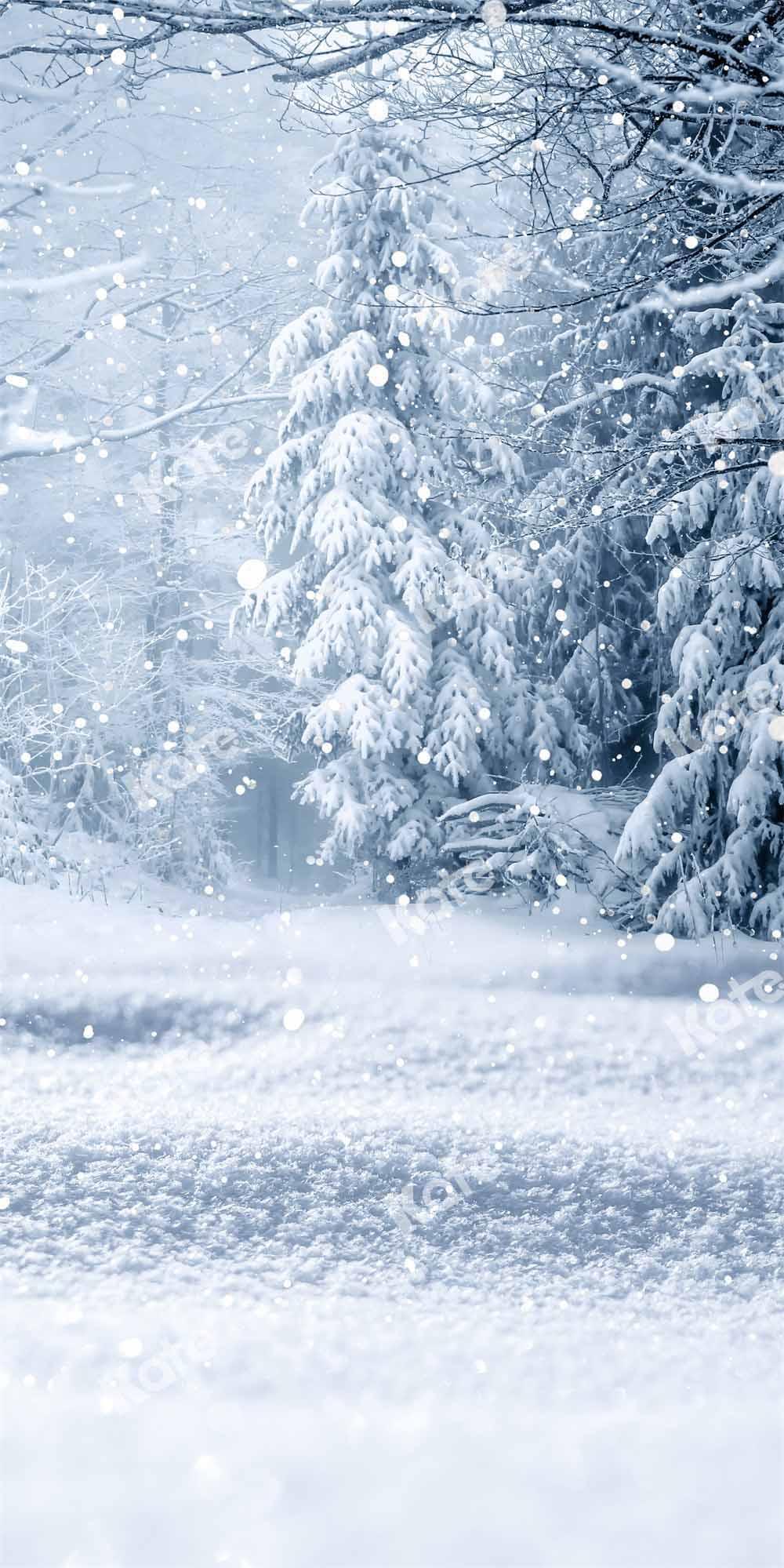 🔥 Free download Kate Winter Wonderland Backdrop Snowfield for ...