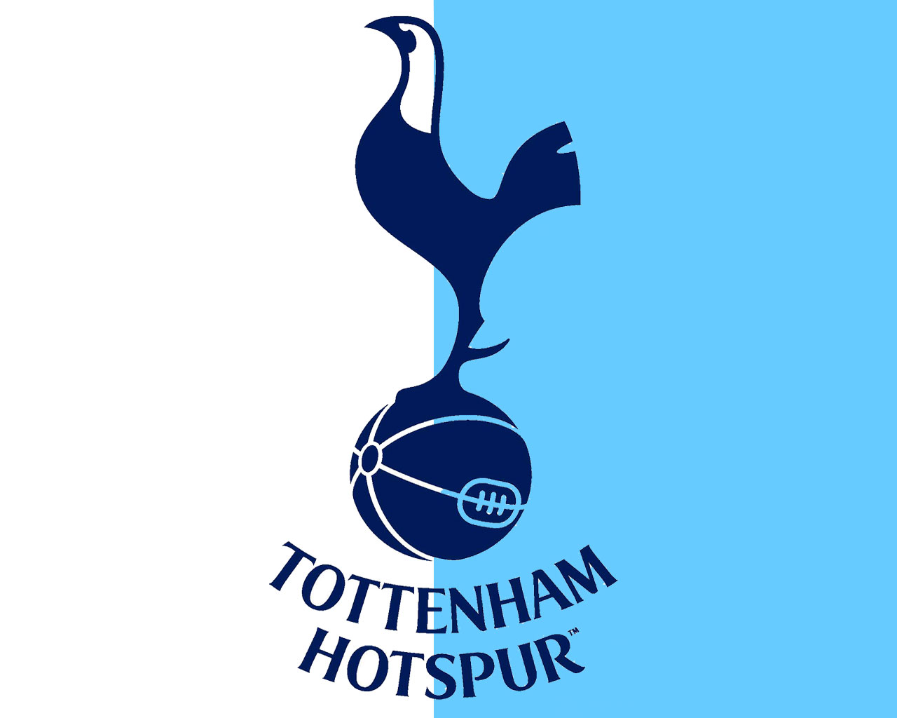 Our New Tottenham Hotspur Wallpaper