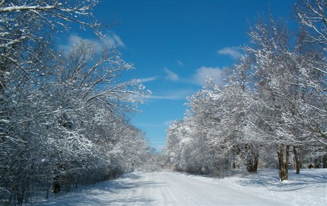 Wisconsin Winter Scene by purrrplcat on