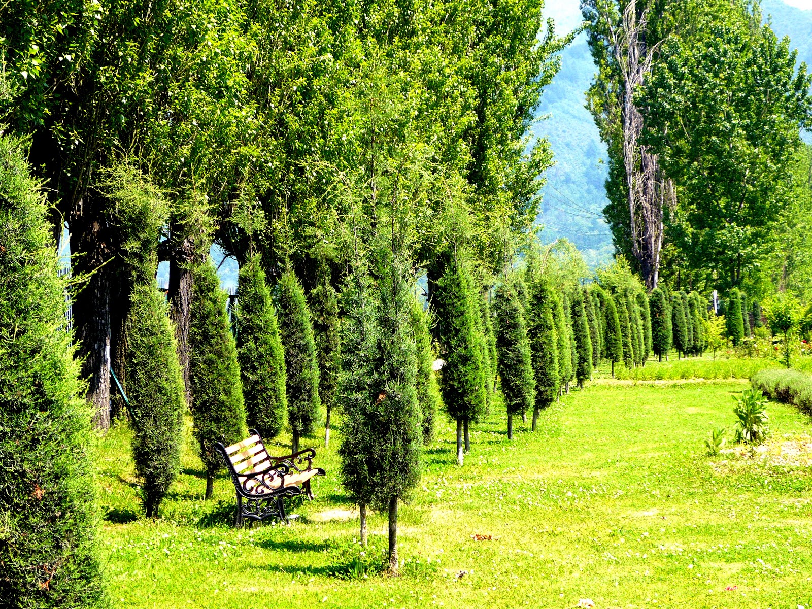Green Zabarwan Park HD Kashmir Wallpaper